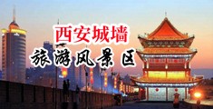 欧美男人日女人的小骚逼逼中国陕西-西安城墙旅游风景区