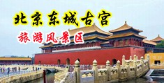 黄色网站免费观看量爆操哭中国北京-东城古宫旅游风景区